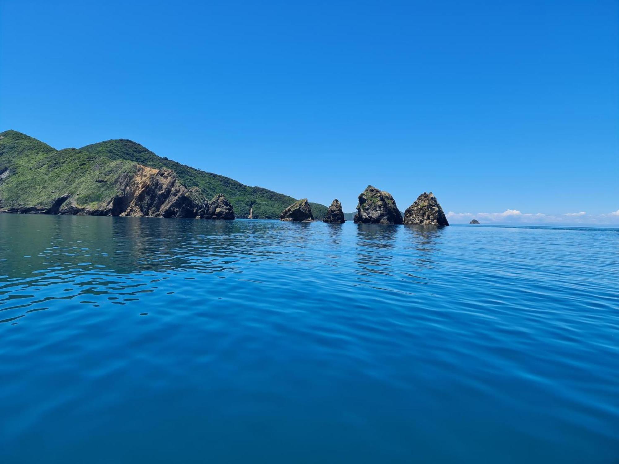 To Tatou Kainga Hostel Μπλένχαϊμ Εξωτερικό φωτογραφία